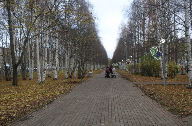 Майский парк на скамейках